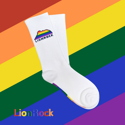 SPLASH Original Socks - LionRock (獅子石)