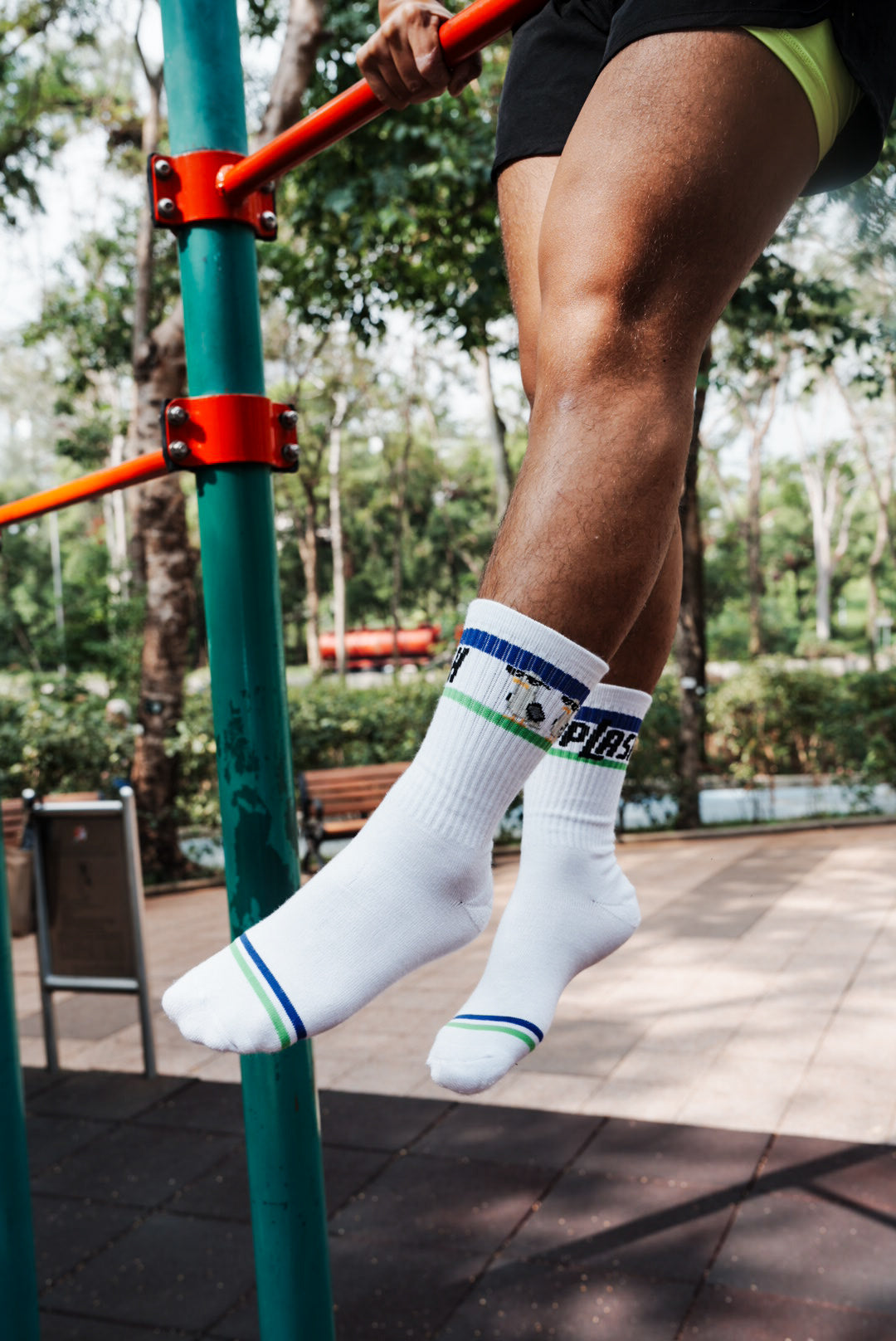 SPLASH Original Socks - Seagulldaan (海鷗彈彈)