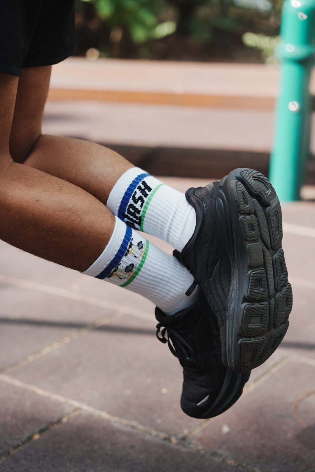 SPLASH Original Socks - Seagulldaan (海鷗彈彈)