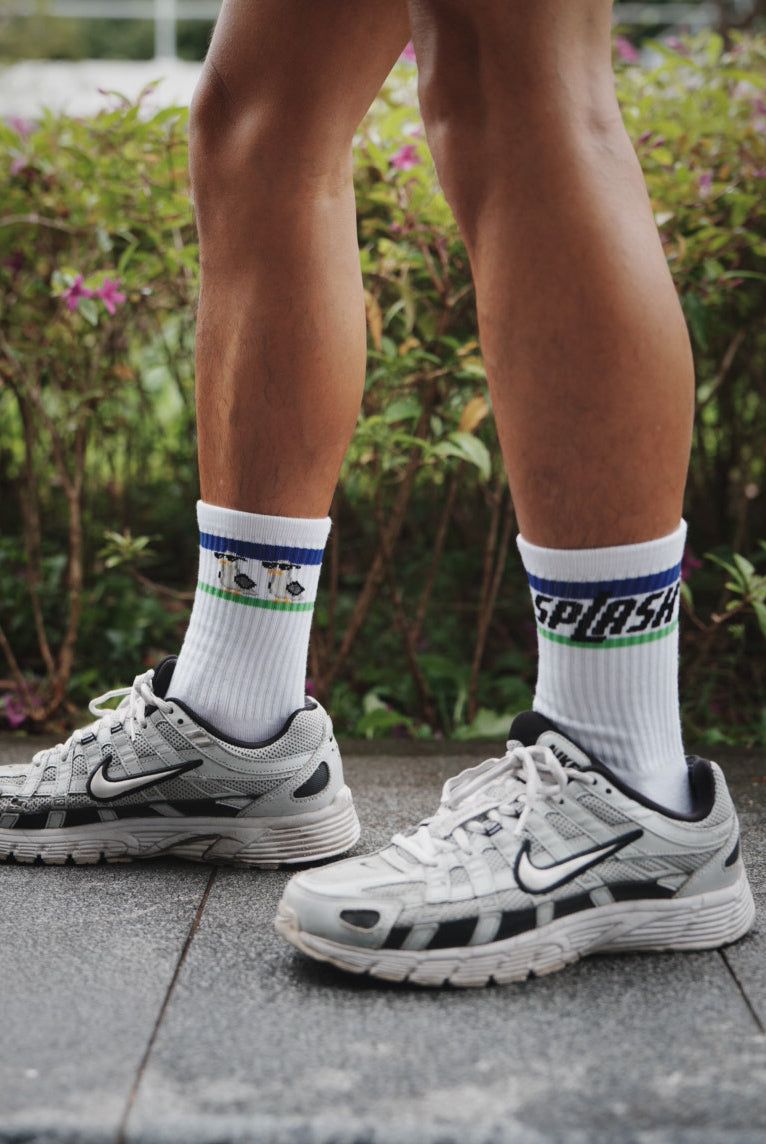 SPLASH Original Socks - Seagulldaan (海鷗彈彈)
