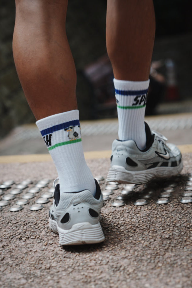 SPLASH Original Socks - Seagulldaan (海鷗彈彈)